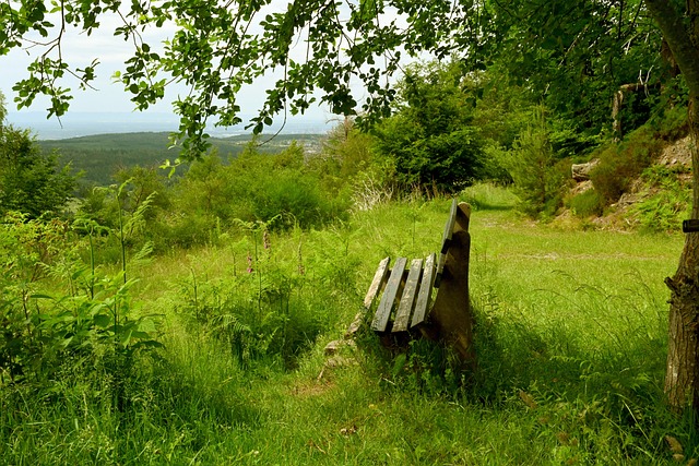 若出战多特，B席将成为第4位欧冠出场达到100次的葡萄牙球员